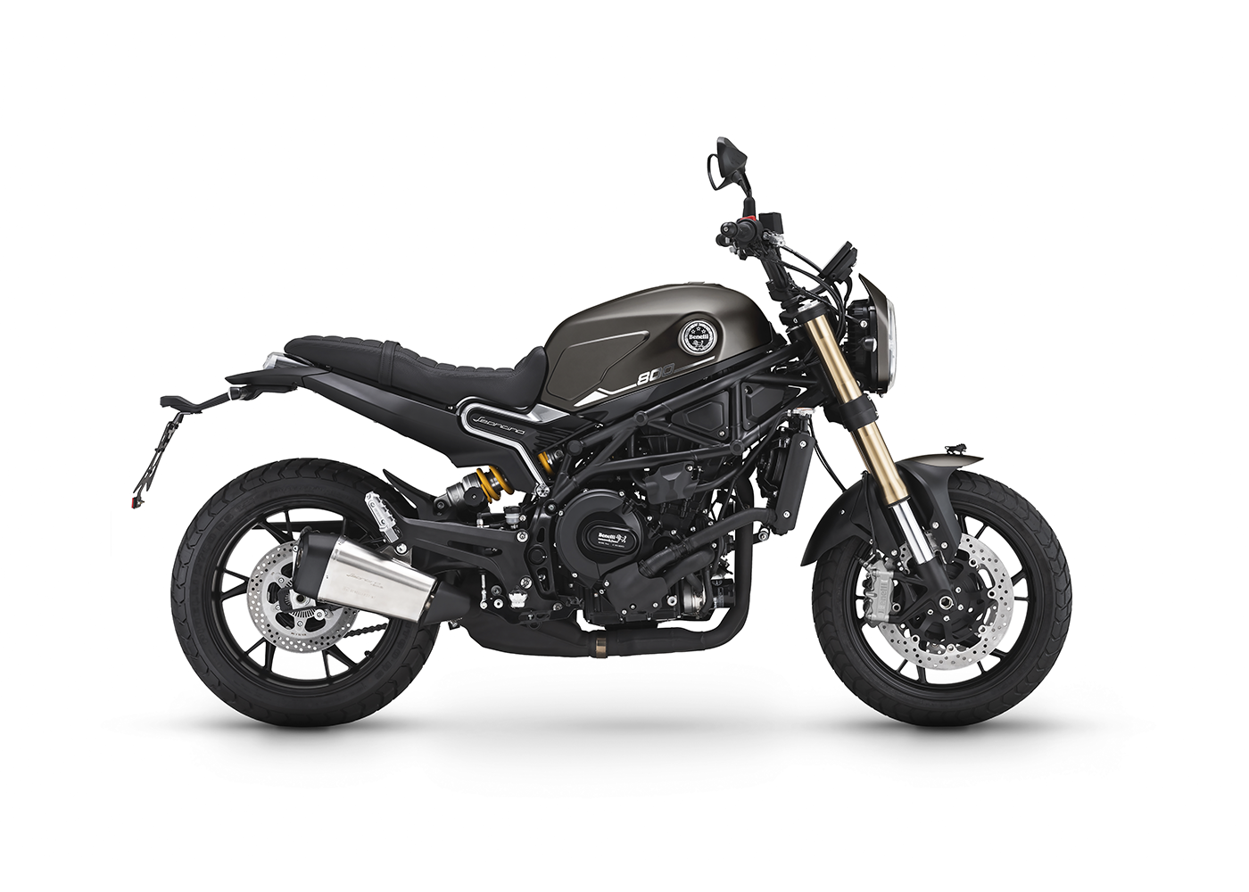 Benelli Leoncino 800