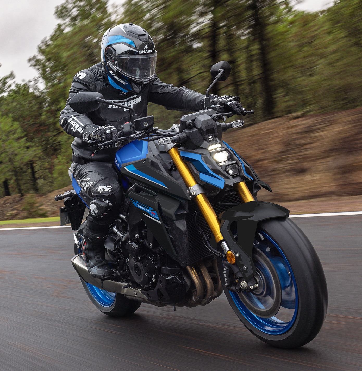 SUZUKI GSX-S 1000